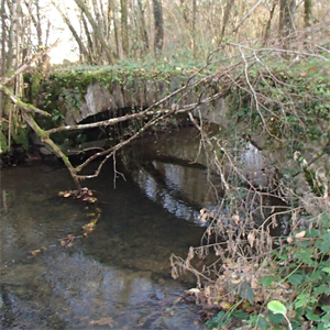 Photo 967444