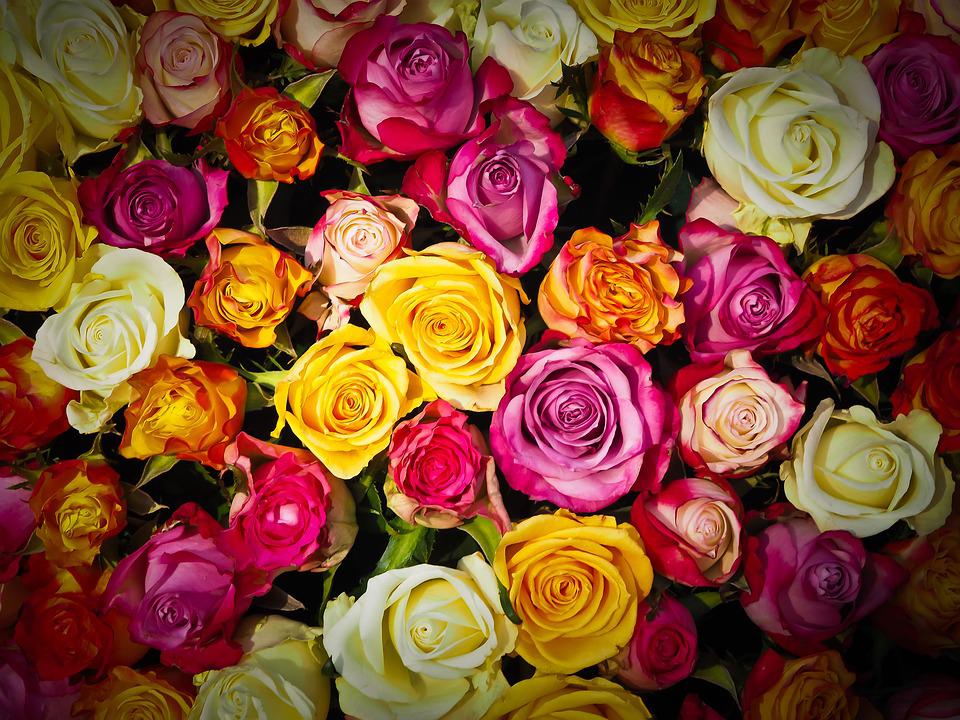 Photo 969434