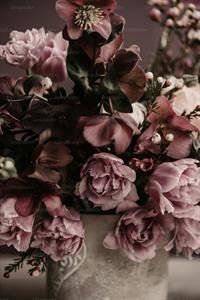 Photo 969934