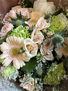 Photo 970010