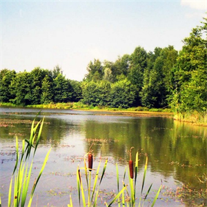 Photo 970734