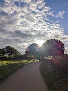 Photo 976138