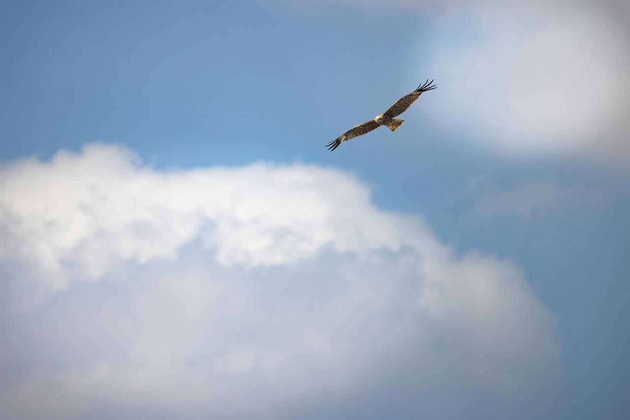 Photo 977258