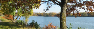 Photo 978667