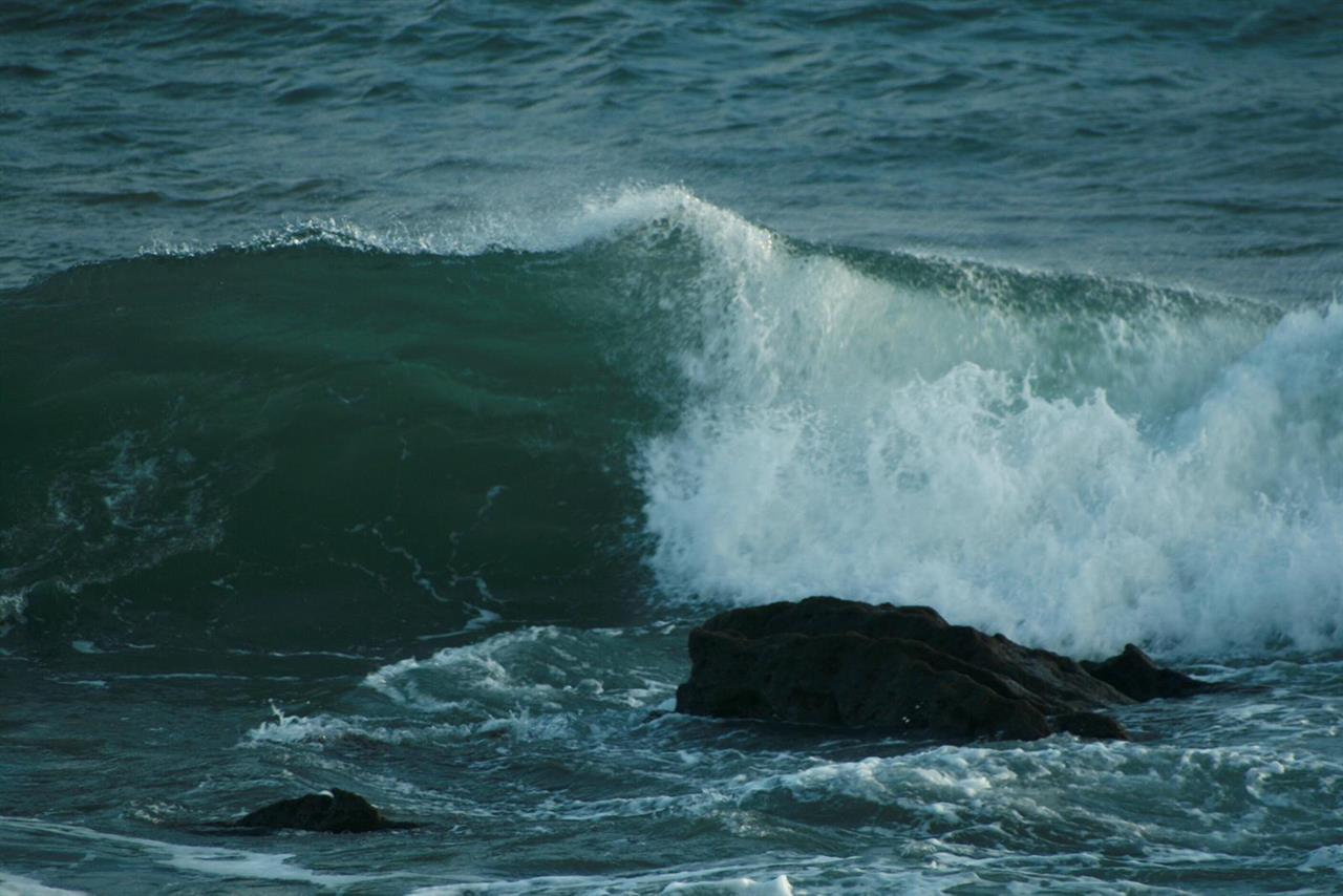 Photo 979005