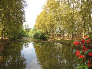 Photo 979773