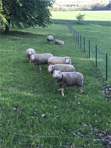 Photo 980218