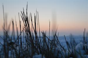 Photo 980376